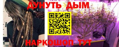 крисы Бийск