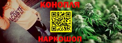 крисы Бийск