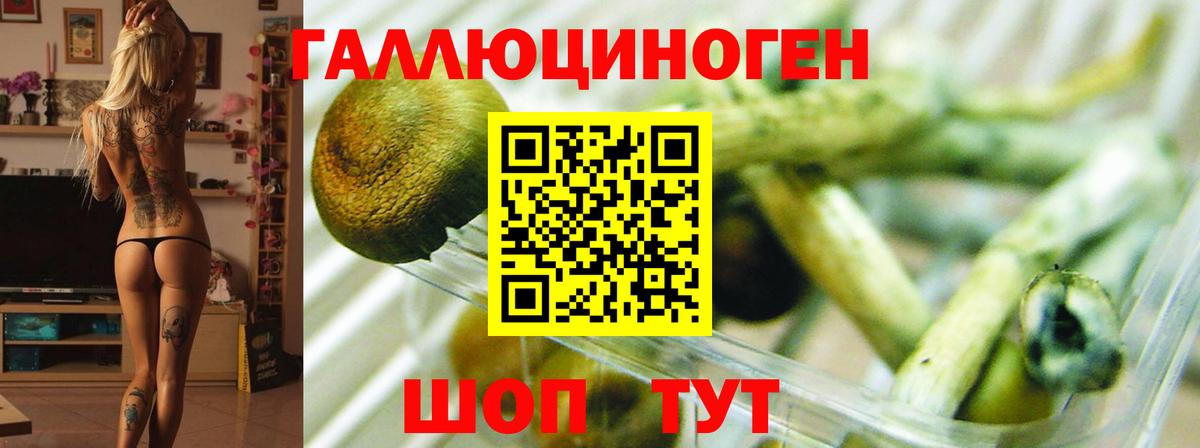 Псилоцибиновые грибы GOLDEN TEACHER Ковров