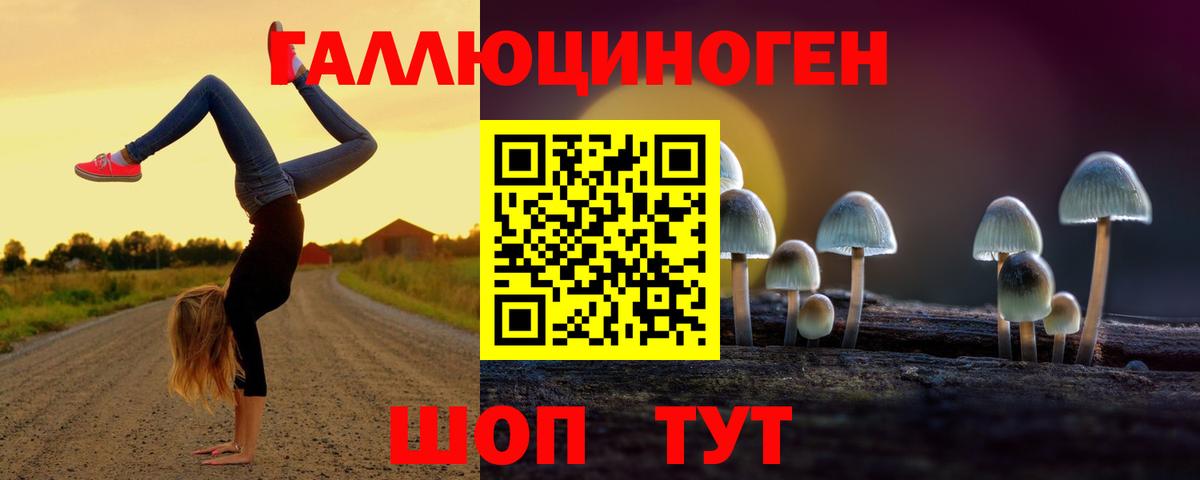 Псилоцибиновые грибы GOLDEN TEACHER  Вход с VPN  Ковров 